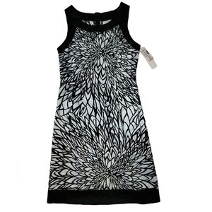 Womens NWT DressBarn White & Black Midi Dress Size 8